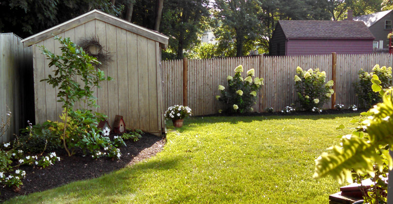 Existing shed beautified with new plantings