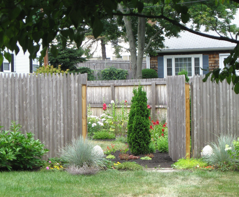 A peak into the new backyard plantings through the gate